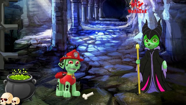 ЩЕНЯЧИЙ ПАТРУЛЬ новые серии 2016 мультфильм зума маршал# PAW PATROL full Episodes