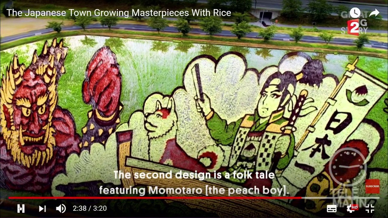 Des rizières exceptionnelles au Japon