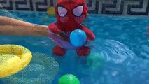 Patrulla Canina español SPIDERMAN SE HACE CACA en la piscina/Videos Paw Patrol español (Cap 32)