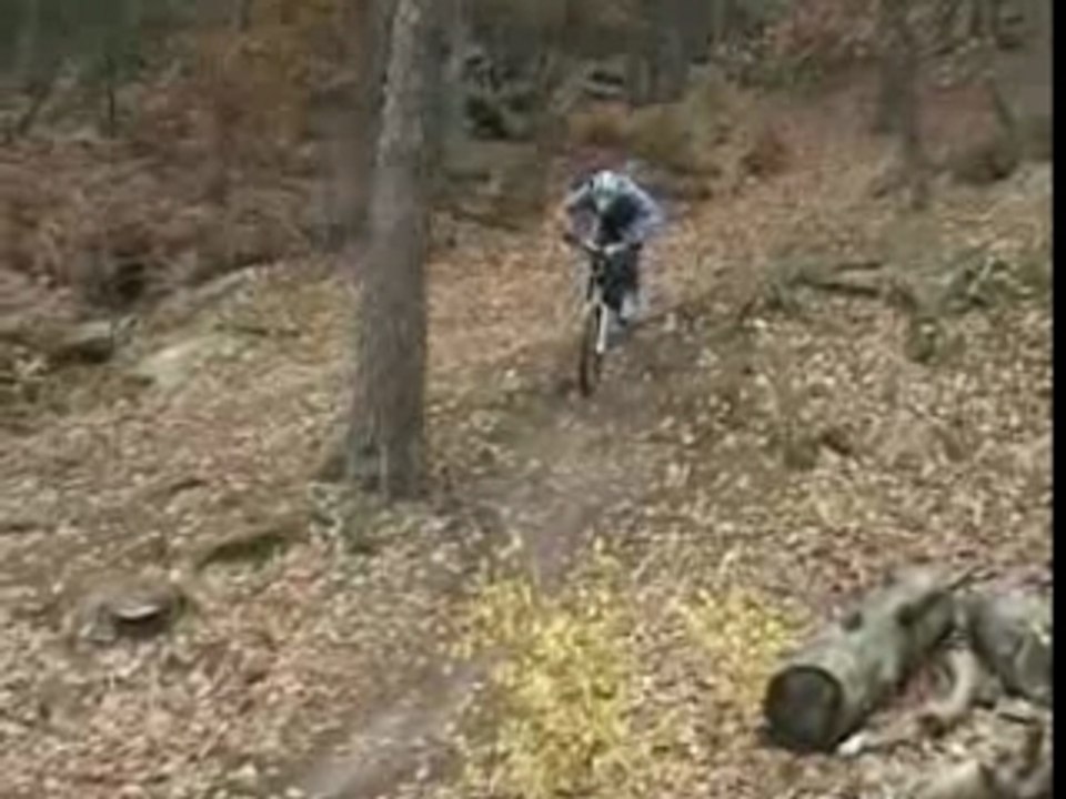 Descente à bleau