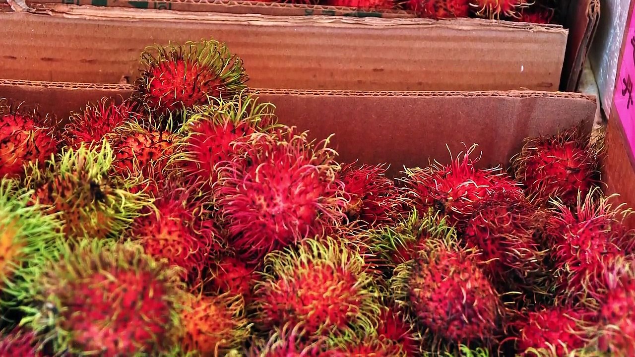 26 Fruits and Vegetables You Have to Try