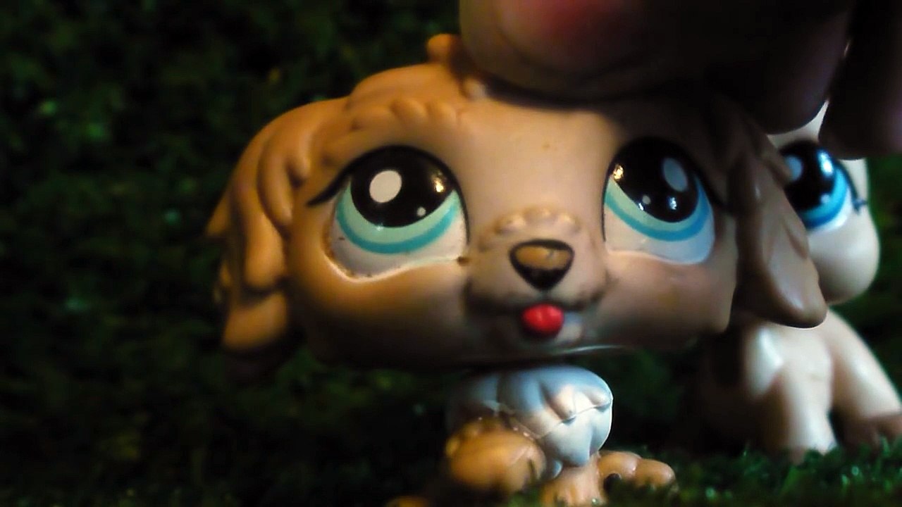 Редкий LPS за 20 рублей?!Новинки