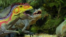 Динозавры - Тираннозавр Тирекс сражение за жизнь Мультфильмы про динозавров