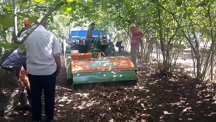 Günde 10 Ton Fındık Toplayan Makine