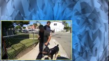Cesar 911 S01E04 Attack Dogs