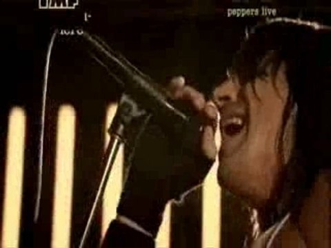 Red Hot Chili Peppers live mtv Me and MY Friends