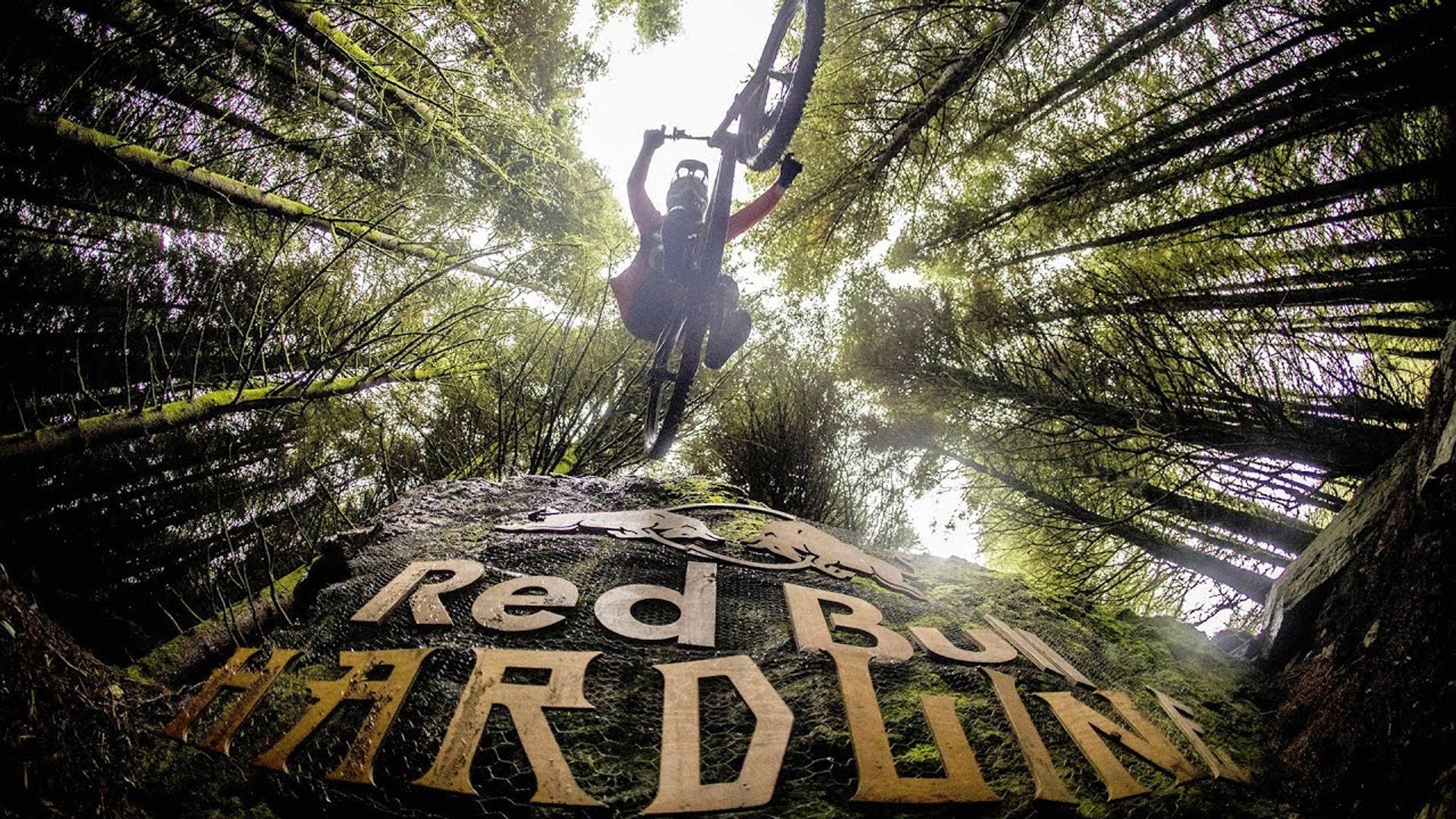 red bull hardline 2017