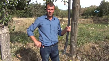 Çorum'da Telefon Kabloları Baltayla Kesilerek Çalındı