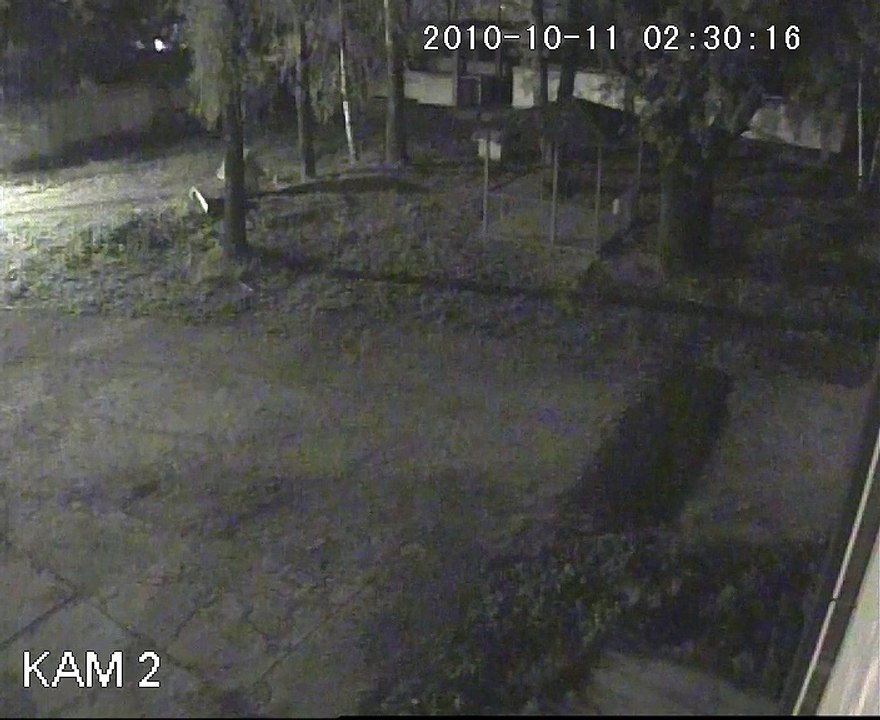 RVi-65Magic_Territoriya_noch