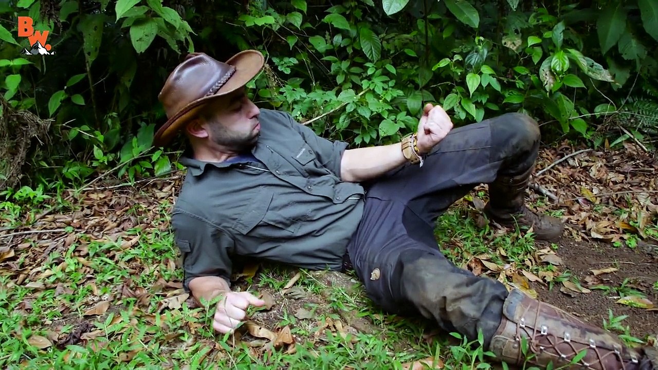 Bullet Ant Kryptonite?