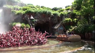 Splash Mountain POV Log Flume Water Ride Tokyo Disneyland Japan 1080p HD