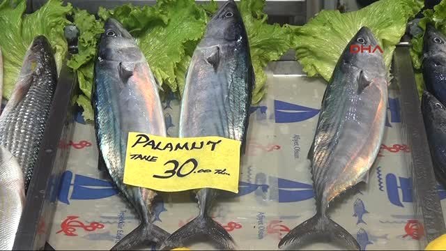 Çanakkale Palamudun Tanesi 30, Lüferin Kilosu 100 Tl