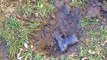 Glock 21 Buried 2 years then 500rd test fire