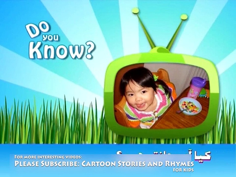 Cartoon Stories for Kids in Urdu and Hindi do you know