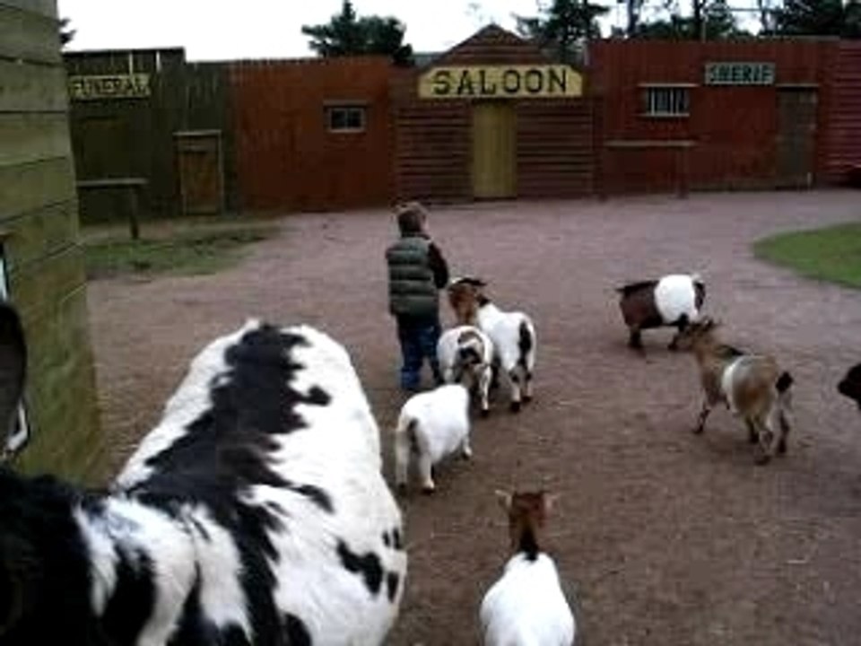 zoo Toussaint 2007 214