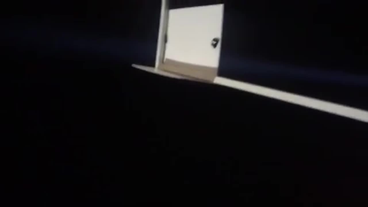 Las Vegas Footage Shows Panicked Crowds Running For Cover While Gunshots Ring Out