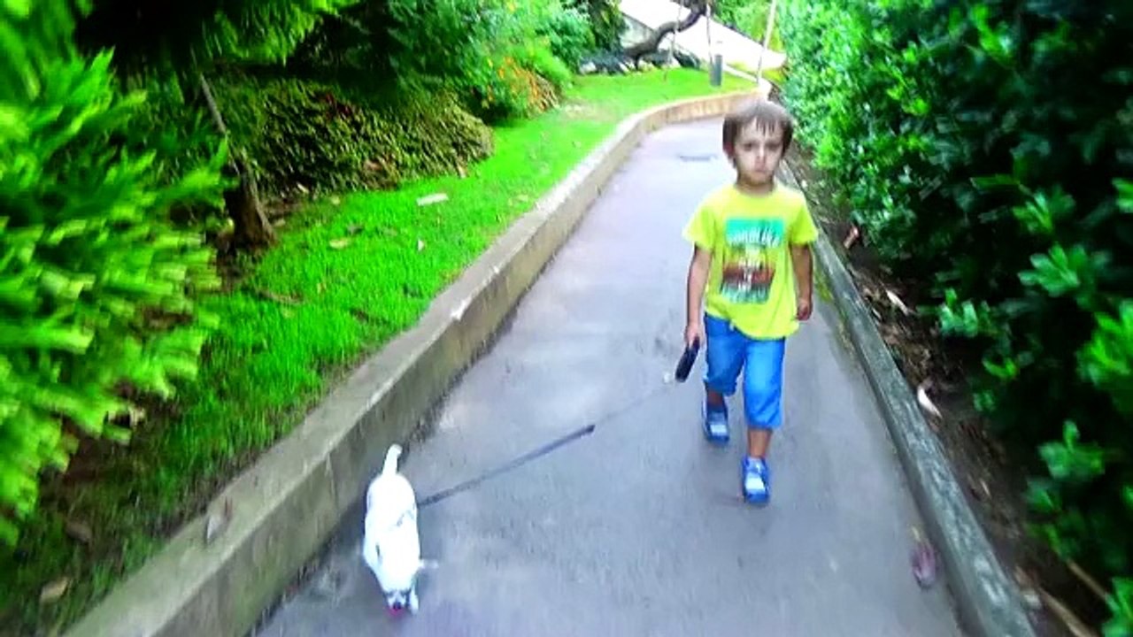 Angélique Marquise des Langes : Hugo vs le chien de mamie