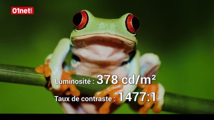 Test Surface Laptop : que vaut l'utraportable sous Windows 10 S ?