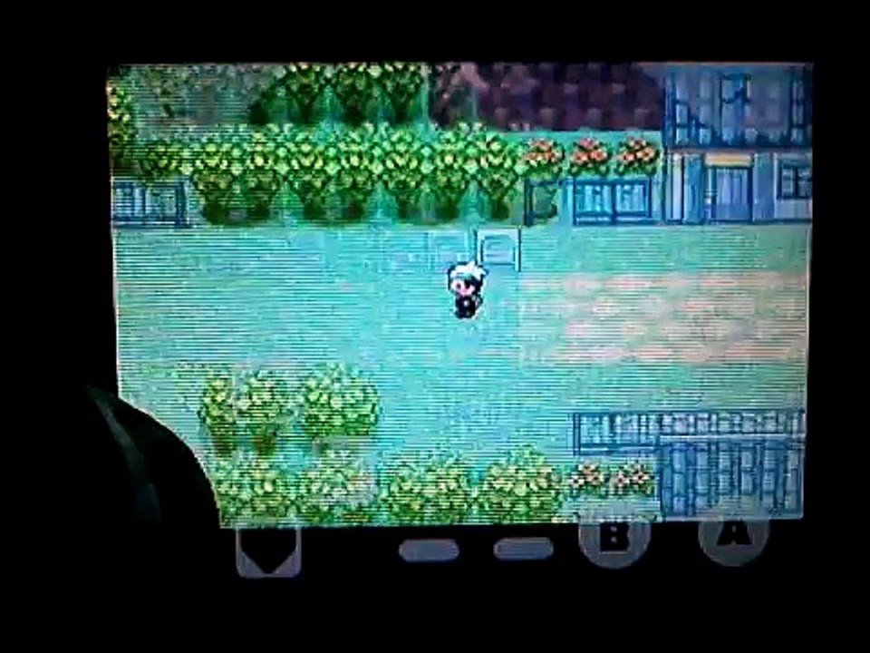 GameBoid How To Put Cheats Vidéo Dailymotion