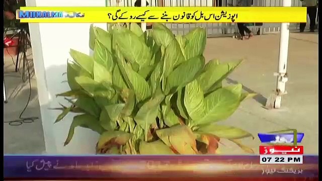 Mukalma – 2nd October 2017