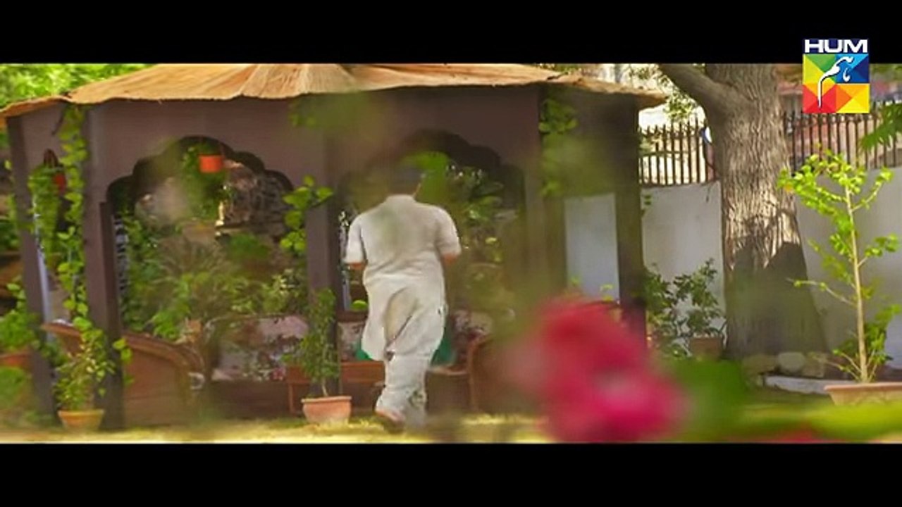 Pagli Episode 6 HUM TV Drama 2 October 2017