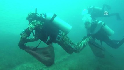 Bodrum'da Deniz Dibi Temizliği