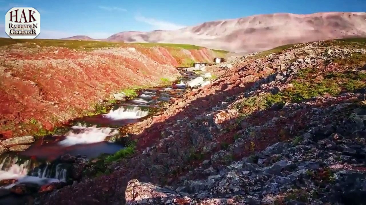 ağlayarak yazıyorum gur-eni tecwiyd ile okumaya dewe-em etseydim we el-lehi ebedi cehenemlik olurdum