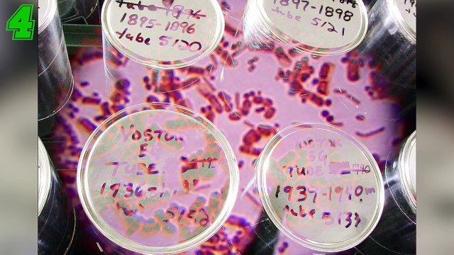 5 misteri marini inspiegabili nascosti in acque profonde