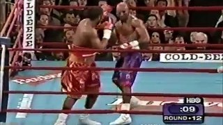 Lennox Lewis vs Evander Holyfield I & II - Highlights (Undisputed Heavyweight Championship)