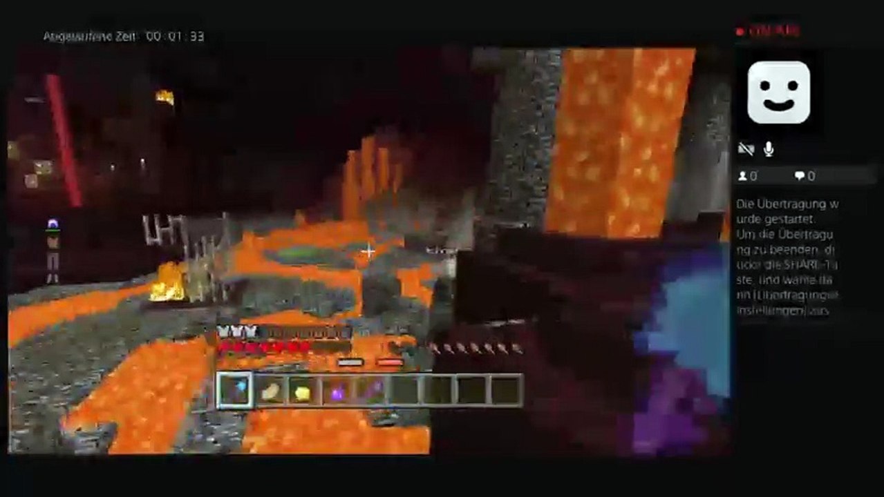 Minecraft (11)