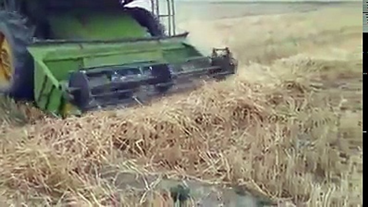 punjab kisan