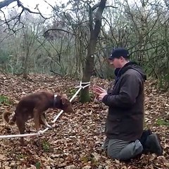 Esto es notable Cómo aprendió a hacer esto?