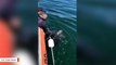 Coast Guard Rescues A Sea Turtle Tangled Up In A Lobster Pot