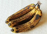 دراسة تكشف أسرار الموز ذي البقع السوداء: ماذا لو تناولته يوميًا؟