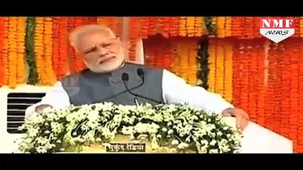 [MP4 360p] Jungle Safari में Tiger के सामने आए Modi, एक Professional की तरह किया Handle