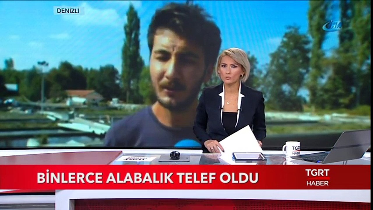 Binlerce Alabalık Telef Oldu