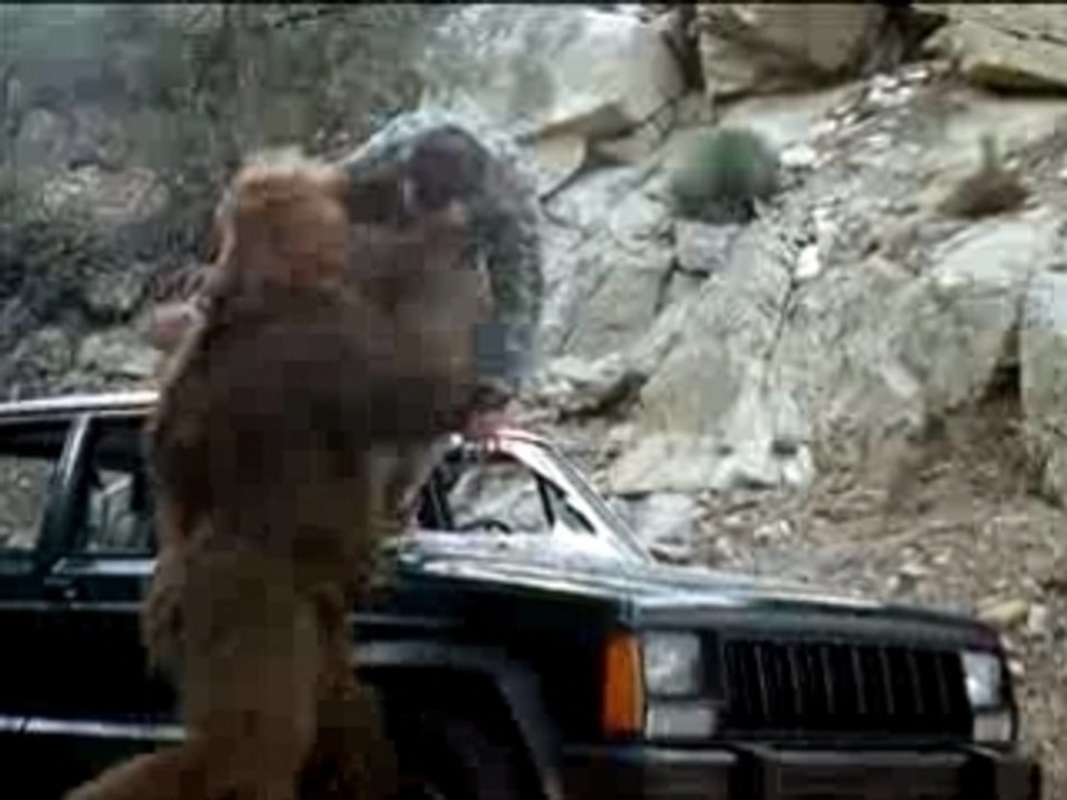 Sasquatch Pickup - Internet Only