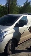 Agora você me obrigou a tomar medidas drásticas!