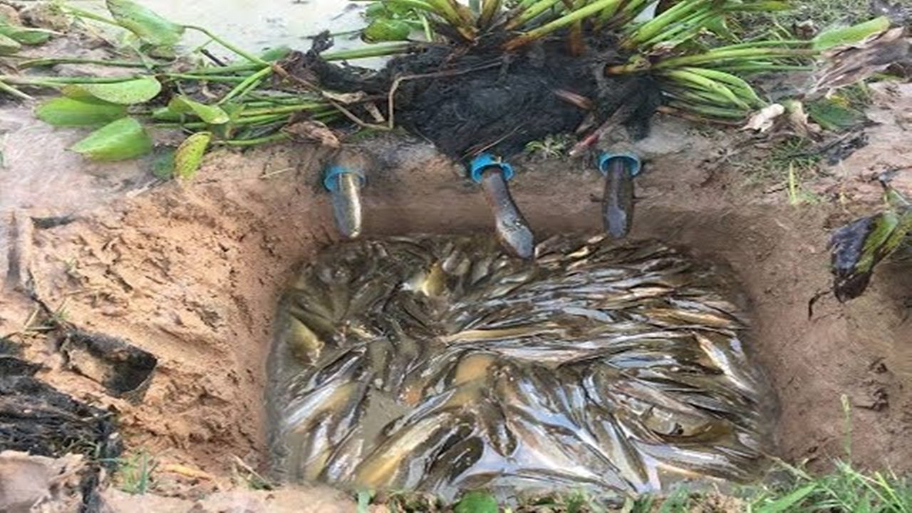 Pesca Artesanal Tradicional increible