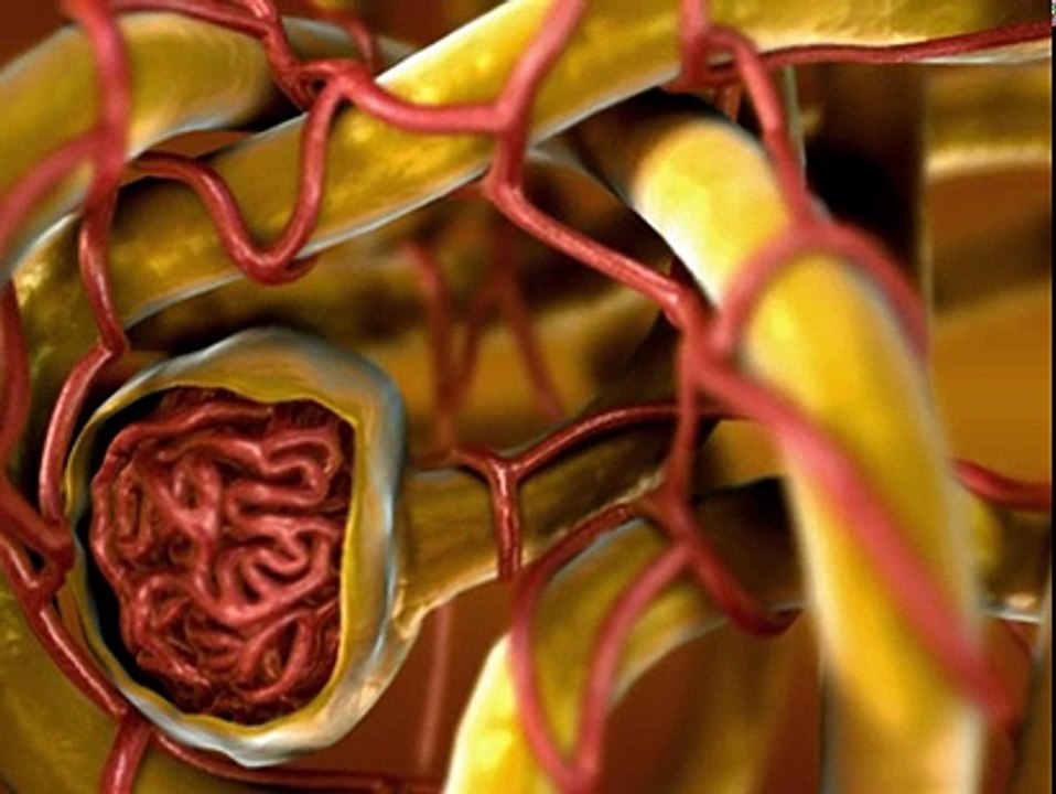 Profession medical education