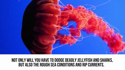 10 Most Dangerous Beaches In The World-gJxWrhc7JB4