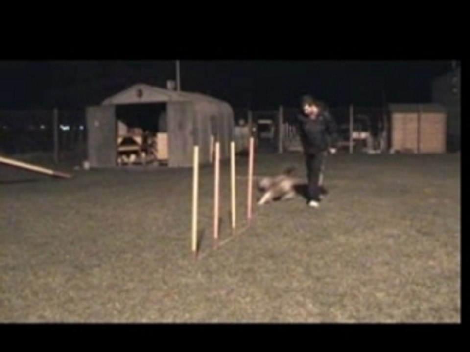 Curly Slalom_07_11_07