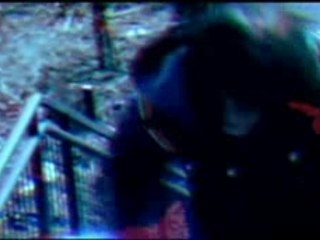 The Tracey Fragments