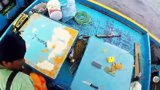 Pesca de PERICO o mahi- mahi - dolphinfish fishing - Deep sea fishing