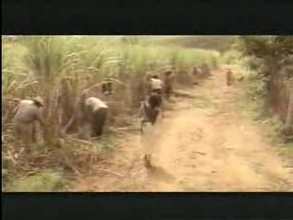 nathalie cardone - Hasta siempre