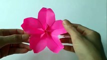 Origami Tutorial - How to fold Origami Cherry Blossom