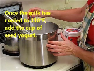 How to Make Yogurt at Home without a Yogurt Maker - Easy Recipe