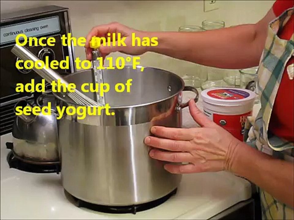 How to Make Yogurt at Home without a Yogurt Maker - Easy Recipe