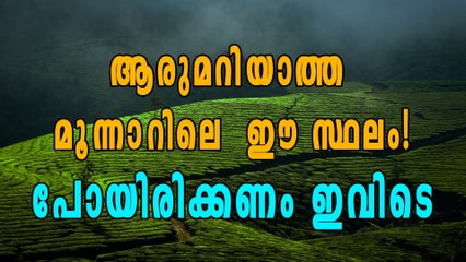 ആരുമറിയാത്ത മൂന്നാറിലെ  ഈ സ്ഥലം!പോയിരിക്കണം ഇവിടെ | Oneindia Malayalam