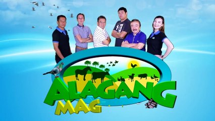 Alagang Magaling S8 EP6 - KALAPATINEUR - RUDY MEDINA